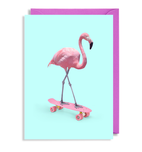 Skate Flamingo