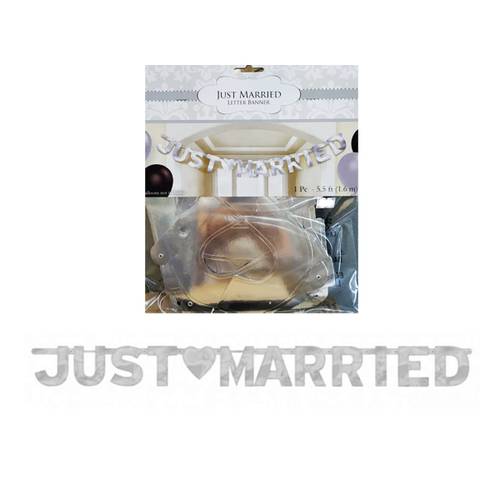 Just Married Banner Silver
