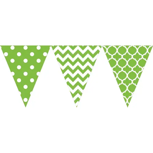 Kiwi Dots & Chvron Large Pennant Banner