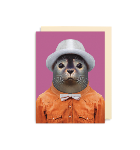 Harbor Seal - Phoca Vitulina