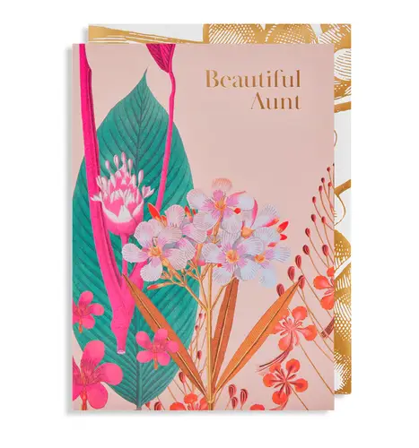 Beautiful Aunt