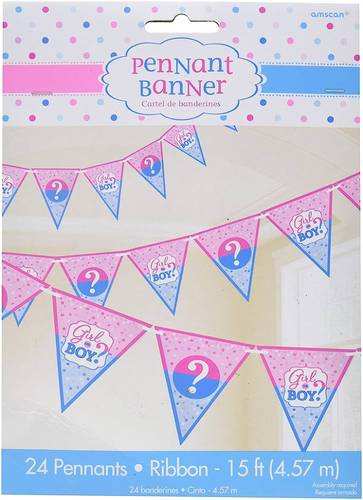 Girl Or Boy? Pennant Banner