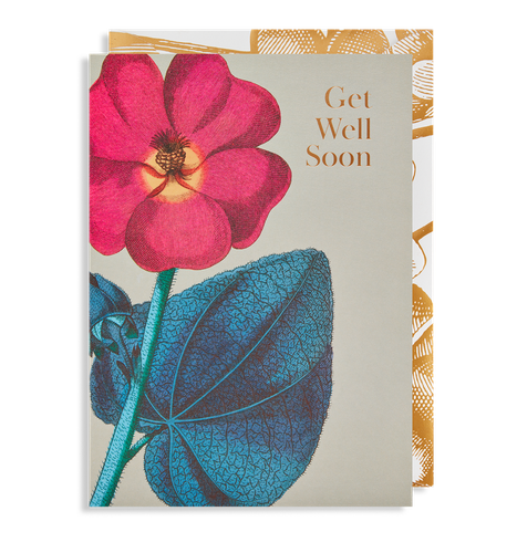 Get Well Soon