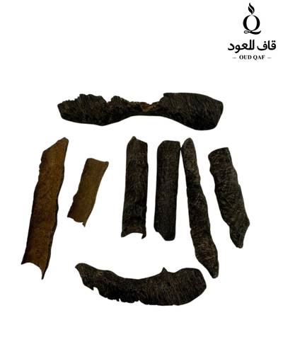  زوايا بوتان تربل