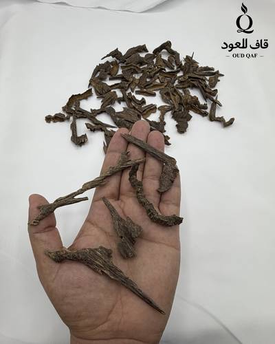 فيزا موري فرزات خاصة للمناسبات VIP
