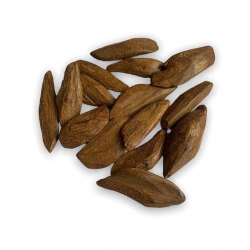عود مروكي ملكي (فوحة العود)