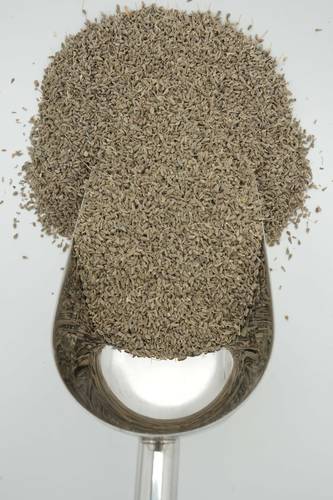 يانسون
