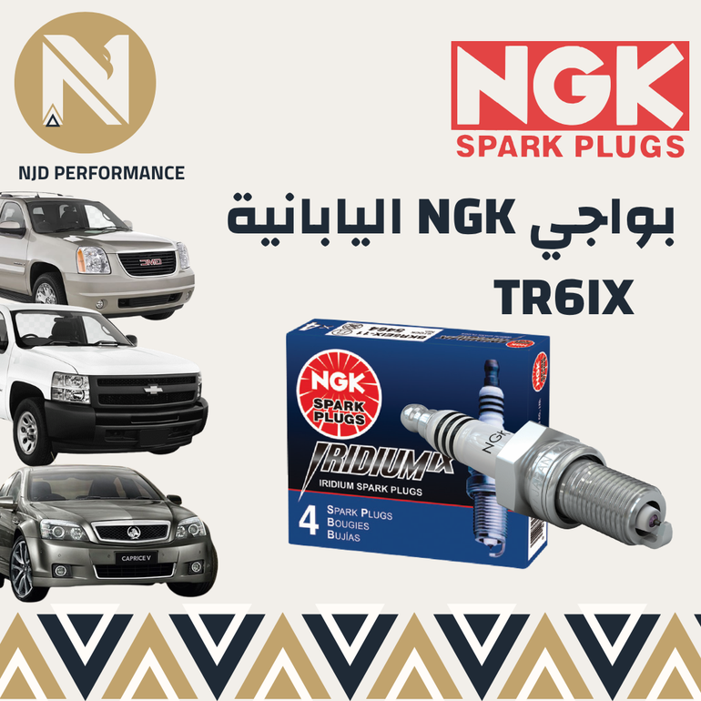 بواجي NGK Iridium TR6