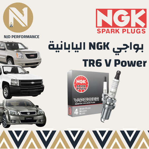 بواجي NGK V-POWER  TR6
