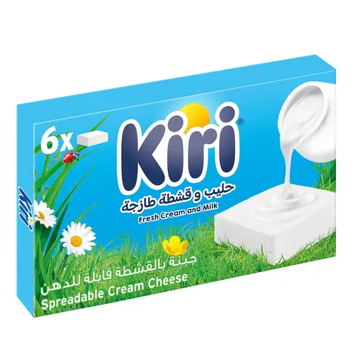 كيري جبنة كريمية قابلة للدهن 6 قطع  100 جم