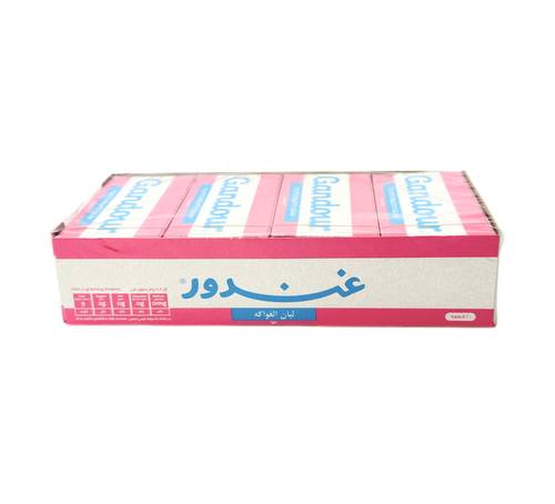 غندور لبان الفواكه 20 قطعة