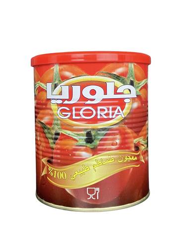 جلوريا معجون طماطم 800 جم