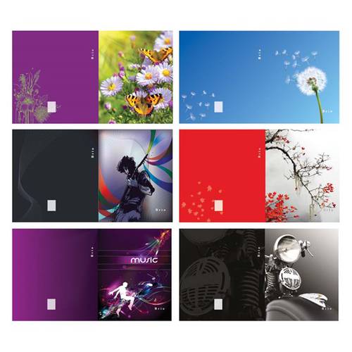 Bassile Freres 6162 BRIO Ring Binder Carton 2 Ring 30mm A4. Assorted 