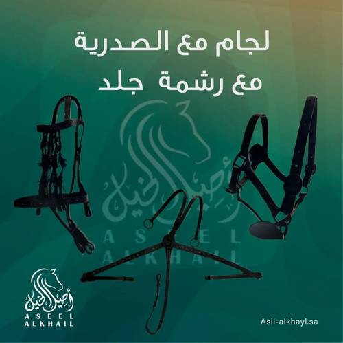 Handcrafted Engraved Leather Bridle Set