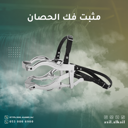 مثبت فك الحصان