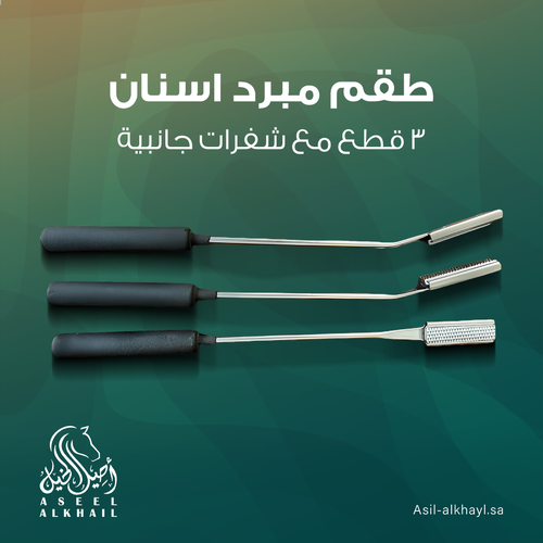Veterinary Dental Float Set
