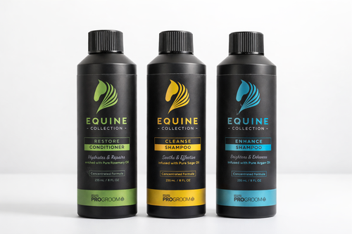 Hanger Shower Care Bundle