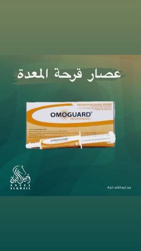 OmoGuard Gastric Ulcer Paste - Omeprazole