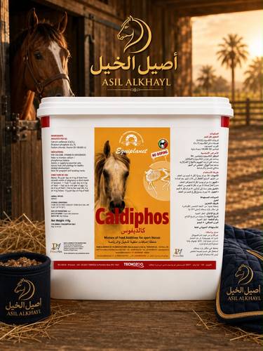 كالديفوس 4 ك Caldiphos