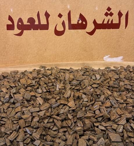 عود ميني بيور