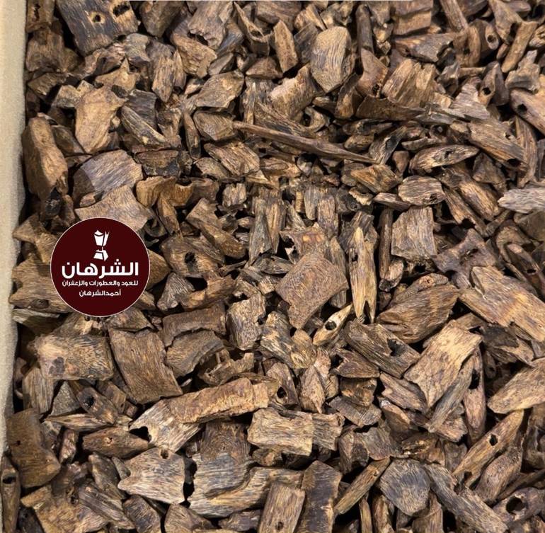 عود كينام – عرض خااص