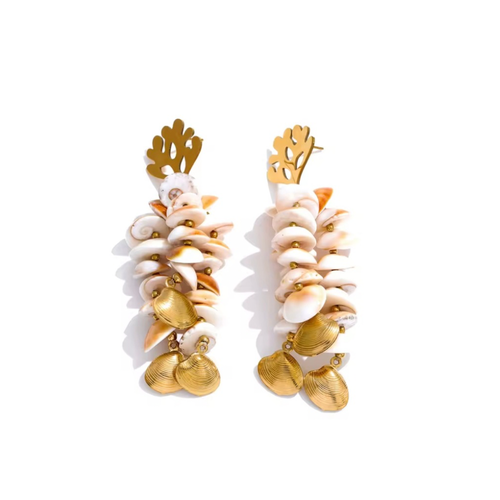 سي شيل | Seashell