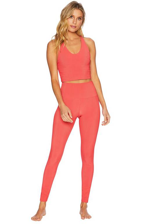 BEACH RIOT Ayla Legging in Hibiscus