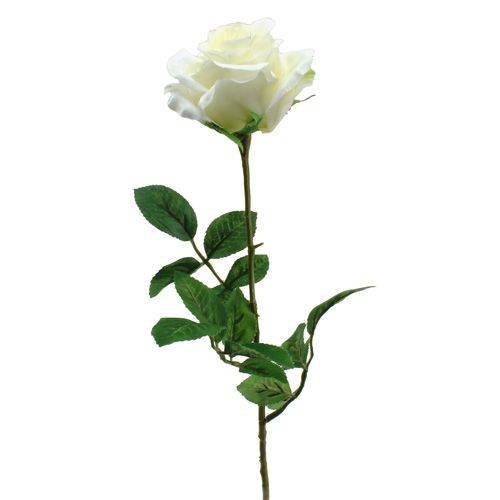 ورد روز طبيعي 