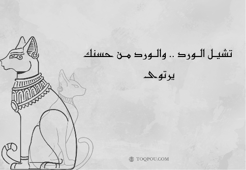 كارد تشيل الورد والورد من حسنك يرتوى