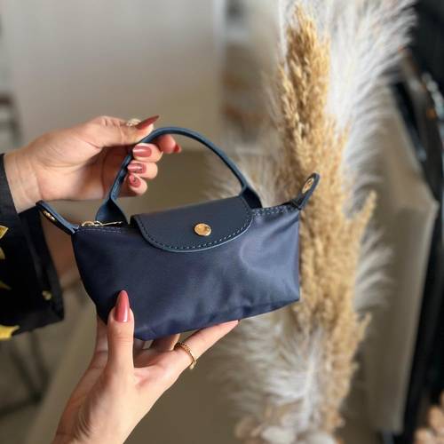 Mini LongChamp