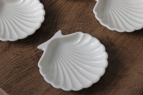  كوستر الصدفة🐚