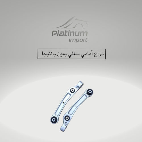 ذراع امامي سفلي يمين بانتيجا