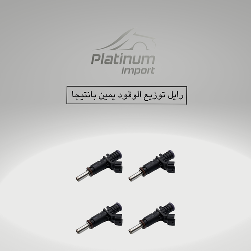 رايل توزيع الوقود يمين بانتيجا