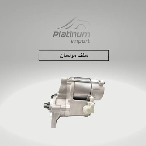 سلف مولسان