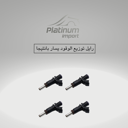 رايل توزيع الوقود يسار بانتيجا