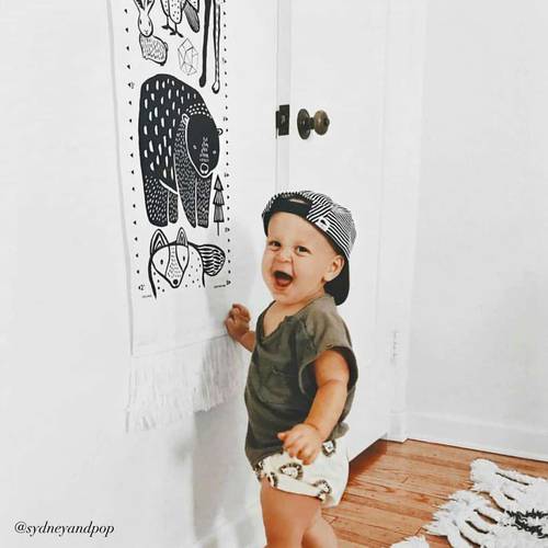 CANVAS GROWTH CHART - NORDIC