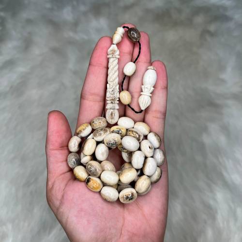 قرن غزال بيضاوي 🦌📿