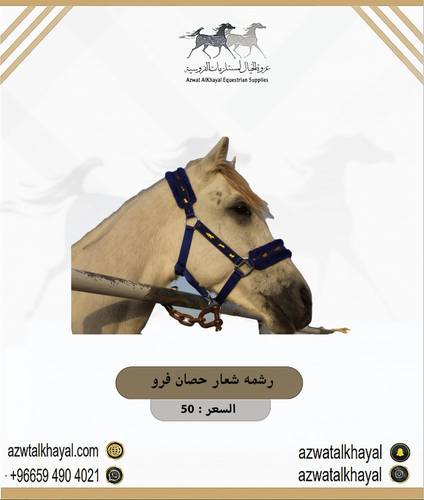 رشمه فرو شعار حصان