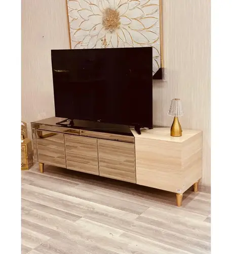 وحدة تلفاز