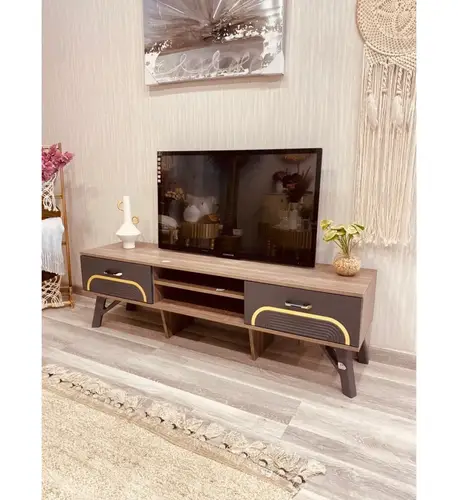 وحدة تلفاز