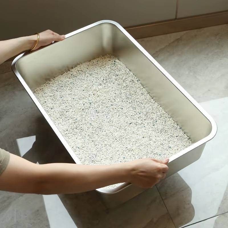 best disposable litter boxes for cats Cats Desire Disposable Litter Box (15 PC) 8.5 inches tall each tray UPC  682157977956