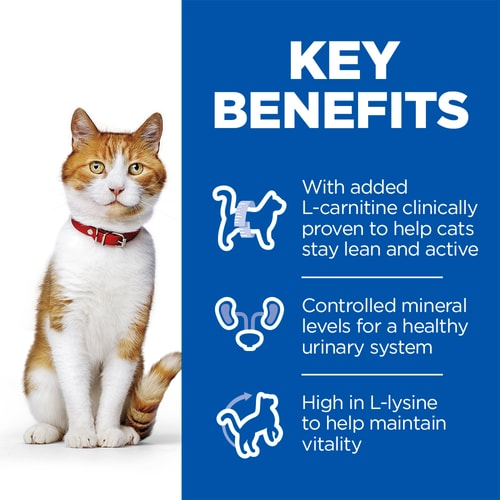 l carnitine benefits for cats Only Natural Pet Feline Thyroid Wellness Support Supplement for Cats