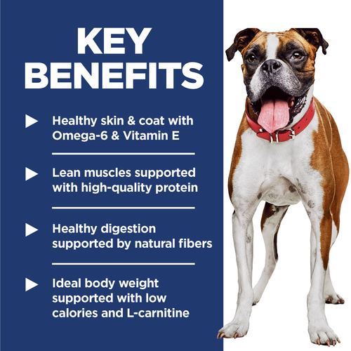 Chicken 14 Kg Dry Food for Medium Adult Dogs Hill's Light