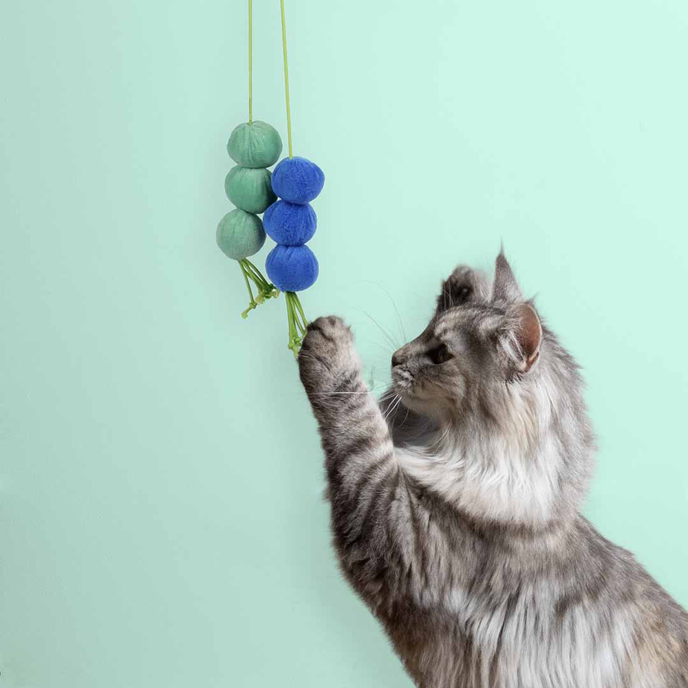 Balls Toy for Cats 60x4x4 Cm Blue/Green Coockoo DIZZY DANGLE