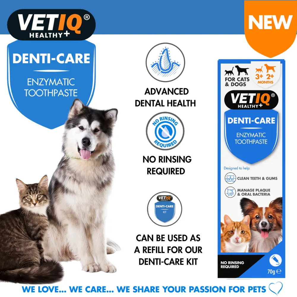 Denti Care Enzymatic Toothpaste Paste for Cats & Dogs 70 g VETIQ