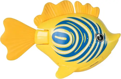 Rainbow Reef Fish - Zebra
