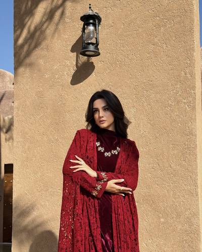 Velvet Luxury Dress - Red