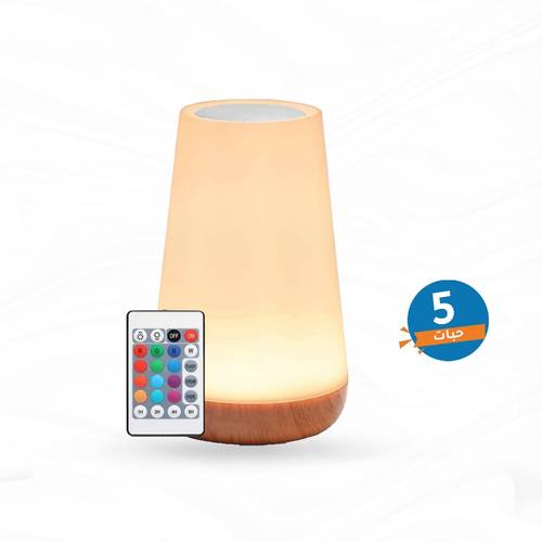 Touch Table Lamp Night Light & Remote Control LED Kids Desk Lamp with Timer Function, Neon Light 13 Colors, Wireless Portable/Rechargeable 5-Pack