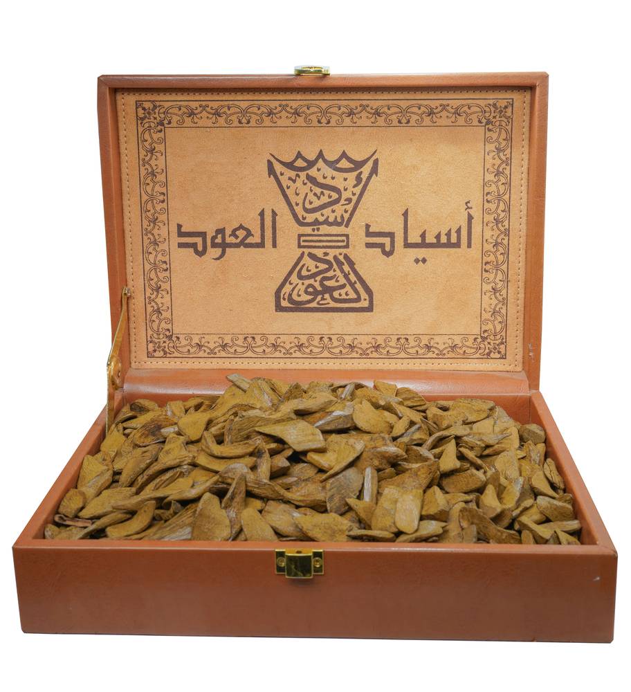 عود موروكي ميني S