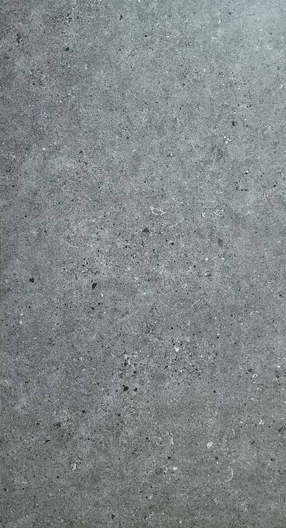 Porcelain Tiles R1208